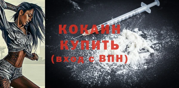 сатива Белокуриха