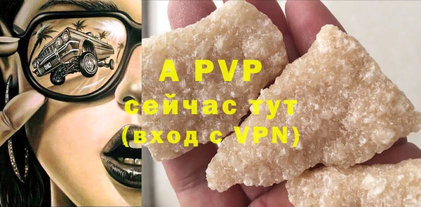 сатива Белокуриха