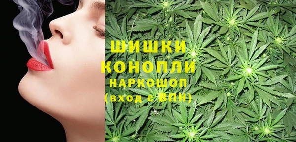 сатива Белокуриха