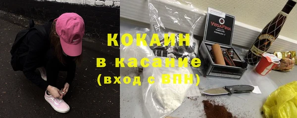 сатива Белокуриха