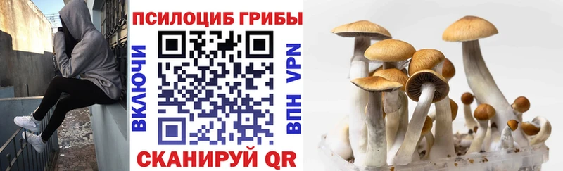 Галлюциногенные грибы ЛСД Куса